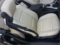 Leather Restoration
